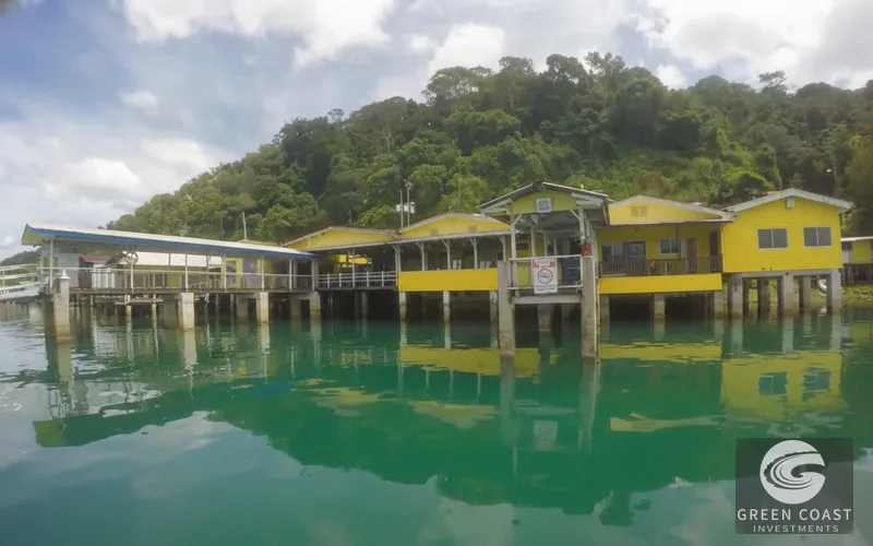 16-Acre Pavones Ocean-View Estate Lot with Cleared Building Pads — view 13, Pavones, Golfito, Costa Rica