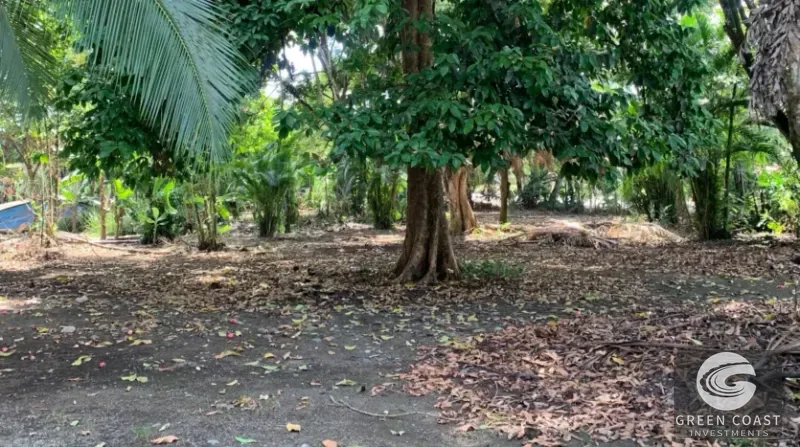 Prime Puerto Jiménez Commercial Corner Lot with Pools & High Visibility Development Potential — view 1, Puerto Jiménez, Puerto Jiménez, Costa Rica