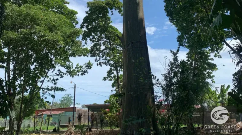 Prime Puerto Jiménez Commercial Corner Lot with Pools & High Visibility Development Potential — view 14, Puerto Jiménez, Puerto Jiménez, Costa Rica