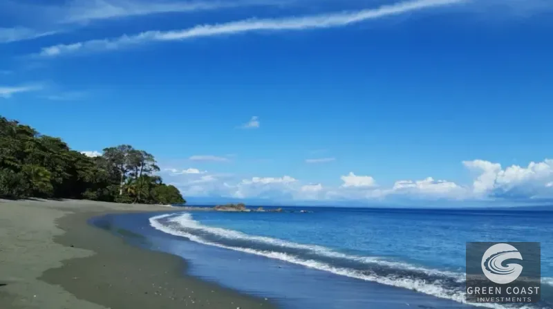 Historic 25-Guest Rainforest Lodge with Pool & Rich Gold Rush Heritage in Puerto Jiménez — view 4, Puerto Jiménez, Golfito, Costa Rica