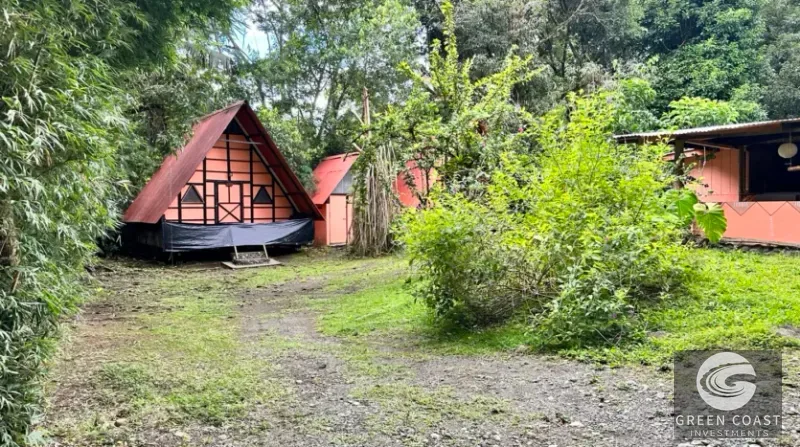 Historic 25-Guest Rainforest Lodge with Pool & Rich Gold Rush Heritage in Puerto Jiménez — view 6, Puerto Jiménez, Golfito, Costa Rica