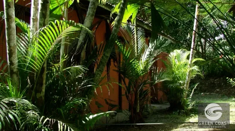 Historic 25-Guest Rainforest Lodge with Pool & Rich Gold Rush Heritage in Puerto Jiménez — view 7, Puerto Jiménez, Golfito, Costa Rica