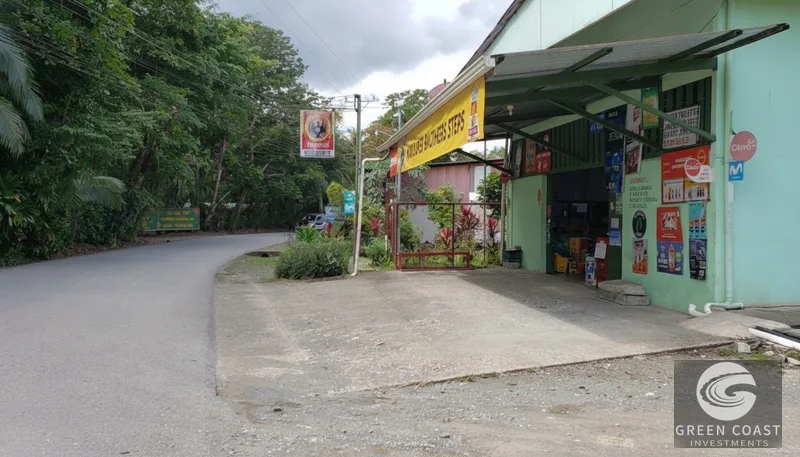 Prime Commercial & Residential Hub in Puerto Jiménez | Walk to Beach & Airport — view 4, Puerto Jiménez, Puerto Jiménez, Costa Rica