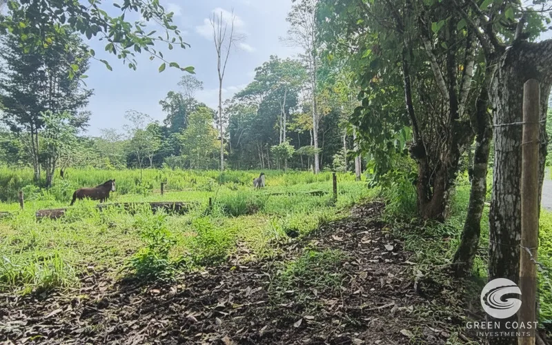 Prime Commercial & Residential Hub in Puerto Jiménez | Walk to Beach & Airport — view 8, Puerto Jiménez, Puerto Jiménez, Costa Rica
