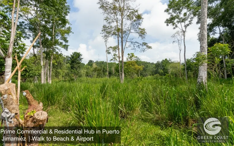 Prime Commercial & Residential Hub in Puerto Jiménez | Walk to Beach & Airport — view 11, Puerto Jiménez, Puerto Jiménez, Costa Rica