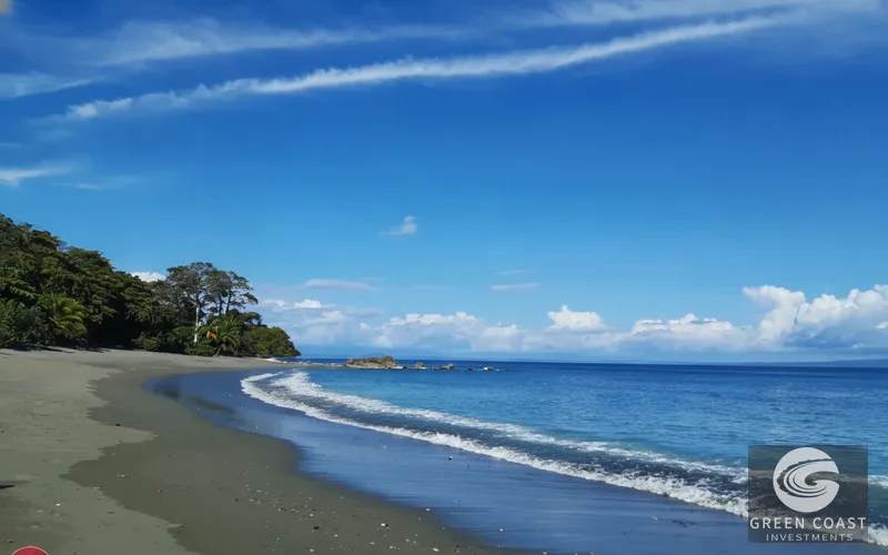 Prime Commercial & Residential Hub in Puerto Jiménez | Walk to Beach & Airport — view 15, Puerto Jiménez, Puerto Jiménez, Costa Rica