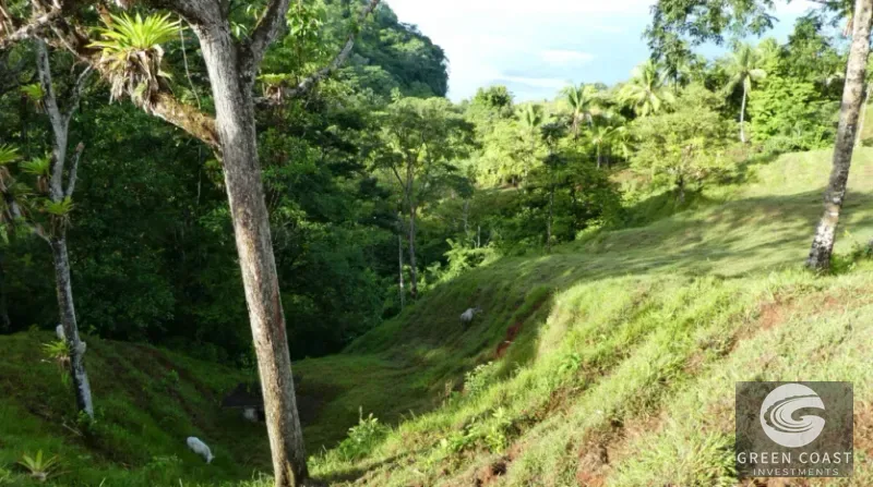 Osa Peninsula 40-Hectare Oceanfront Estate with Private Waterfall & Panoramic Gulf Views — view 13, Osa, Costa Rica