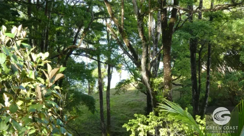 Osa Peninsula 40-Hectare Oceanfront Estate with Private Waterfall & Panoramic Gulf Views — view 15, Osa, Costa Rica