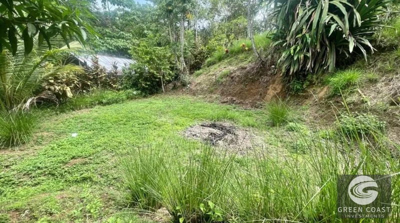 La Hierba 3-Tier Terraced Lot Near Surf: Mountain Views, Natural Stream & Beach Access — view 2, Pavones, Golfito, Costa Rica