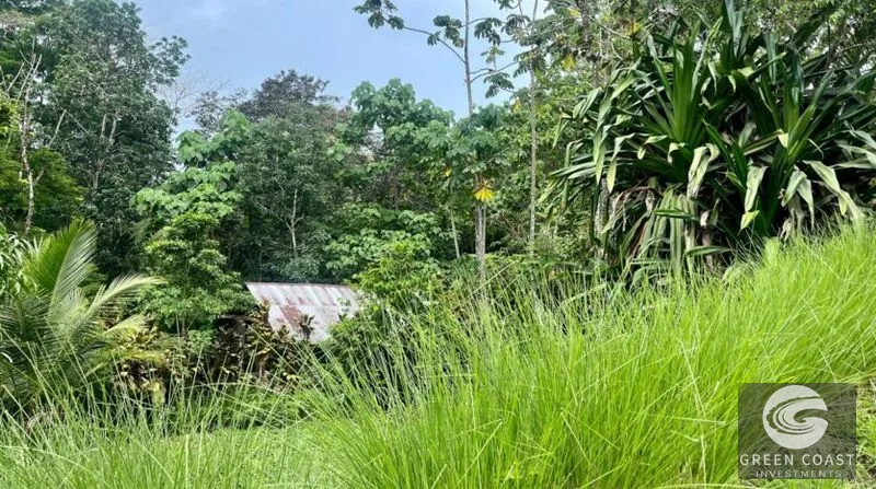 La Hierba 3-Tier Terraced Lot Near Surf: Mountain Views, Natural Stream & Beach Access — view 3, Pavones, Golfito, Costa Rica