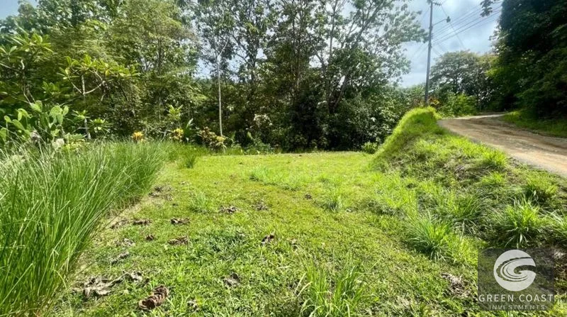La Hierba 3-Tier Terraced Lot Near Surf: Mountain Views, Natural Stream & Beach Access — view 4, Pavones, Golfito, Costa Rica