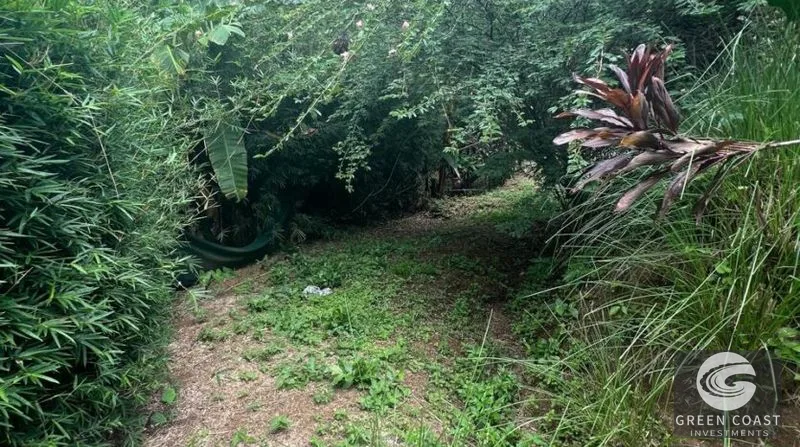 La Hierba 3-Tier Terraced Lot Near Surf: Mountain Views, Natural Stream & Beach Access — view 6, Pavones, Golfito, Costa Rica