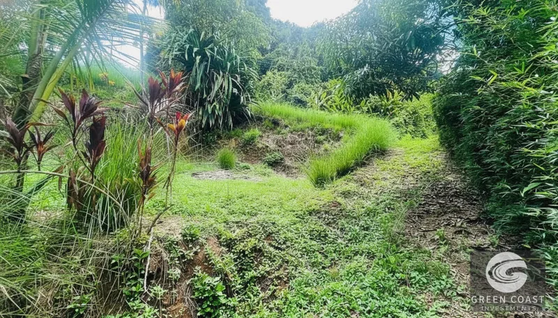 La Hierba 3-Tier Terraced Lot Near Surf: Mountain Views, Natural Stream & Beach Access — view 7, Pavones, Golfito, Costa Rica