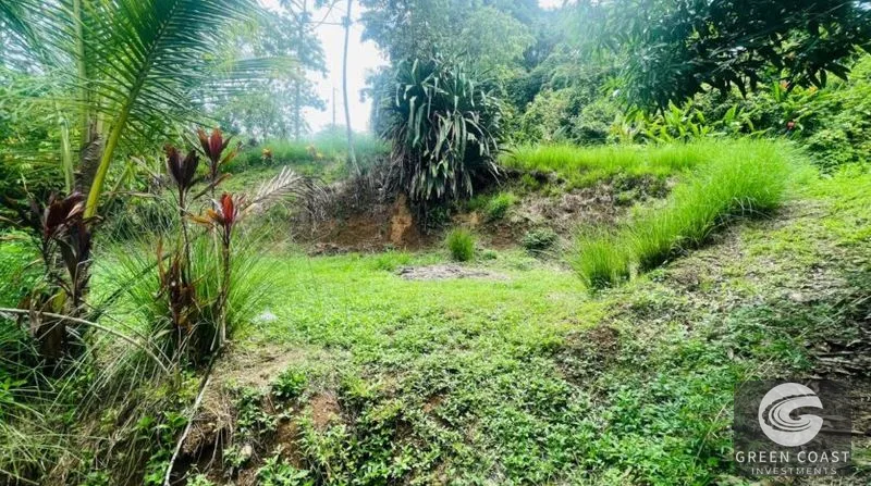 La Hierba 3-Tier Terraced Lot Near Surf: Mountain Views, Natural Stream & Beach Access — view 8, Pavones, Golfito, Costa Rica