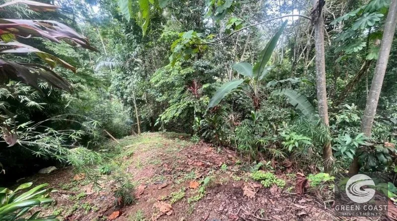 La Hierba 3-Tier Terraced Lot Near Surf: Mountain Views, Natural Stream & Beach Access — view 10, Pavones, Golfito, Costa Rica