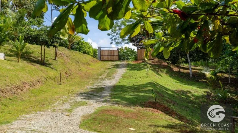 Private Jungle Oasis Near Pavones Surf: 2-BR Furnished Home on Acre+ Lot with Room to Expand — view 8, La Virgen, La Virgen, Costa Rica