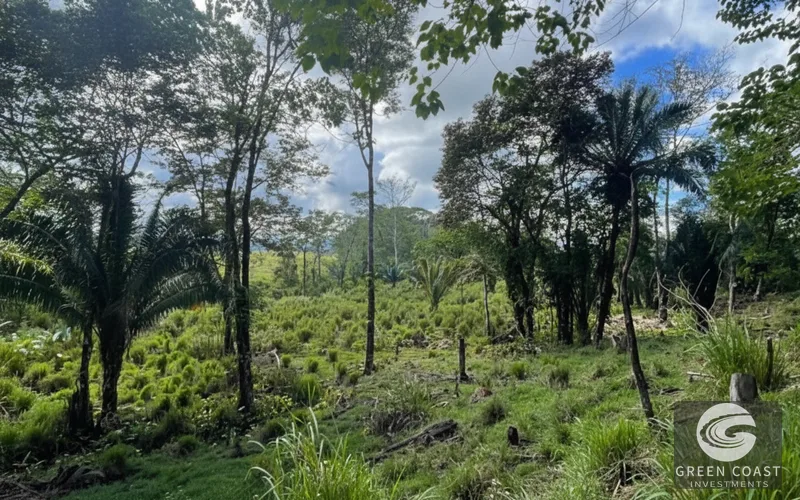 Modern 2-BR Furnished Home Near Pavones Surf with Solar Hot Water & Large Lot — view 11, Pavones, Golfito, Costa Rica