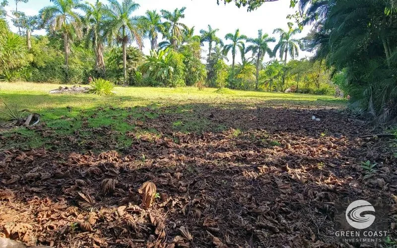 Pavones Surf-Side Lot: 1,410m² Glamping & Container Retreat Near the Beach — view 12, Pavones, Golfito, Costa Rica