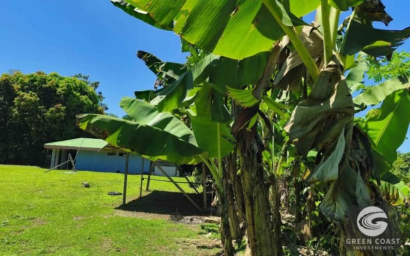 Surfer's Paradise in Pilón: 3BR Home on Massive Titled Lot with Tropical Views — view 25, San José, Costa Rica