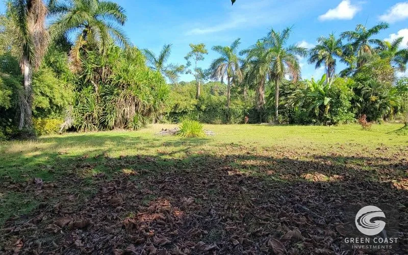 0.71-Acre Pavones Beachfront Lot: Prime Surfside Land with Eco-Glamping Potential — view 12, Pavones, Golfito, Costa Rica