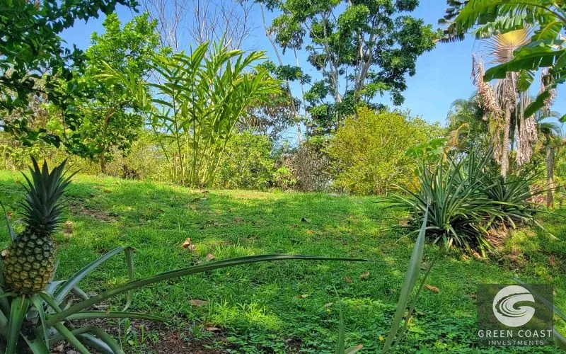 Off-Grid Ocean-View Estate: 4 Luxury Homes, Private Waterfall & Solar Power in Pavones — view 49, San José, Costa Rica