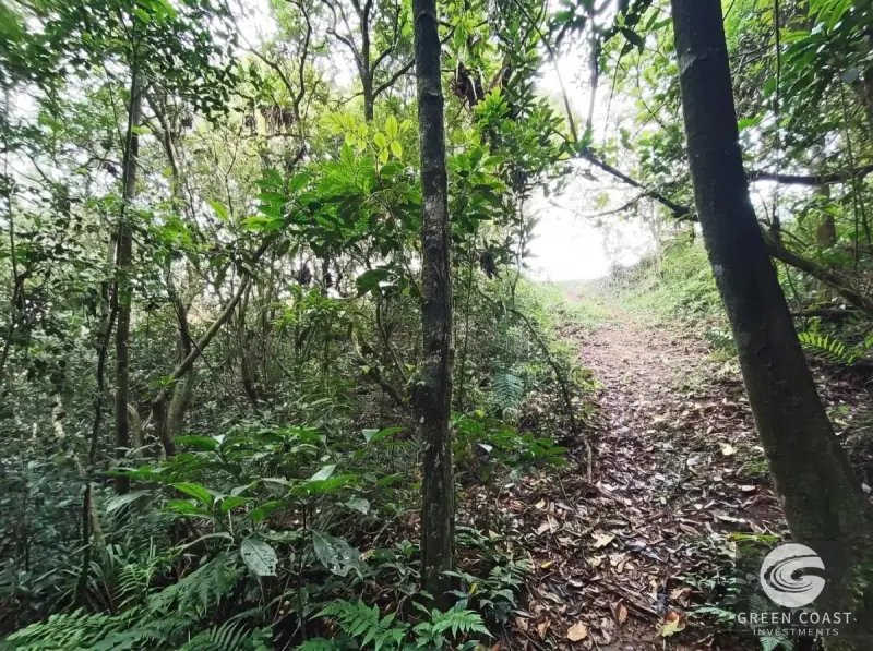 Ocean-View Mountain Terrace: Prime Development Land in San Ramón — view 11, Piedades Norte, San Ramón, Costa Rica