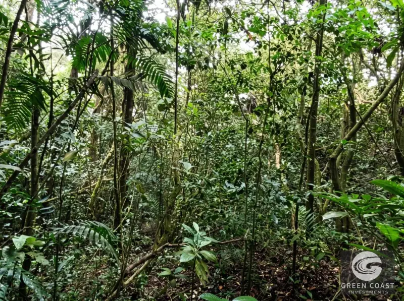 Ocean-View Mountain Terrace: Prime Development Land in San Ramón — view 12, Piedades Norte, San Ramón, Costa Rica