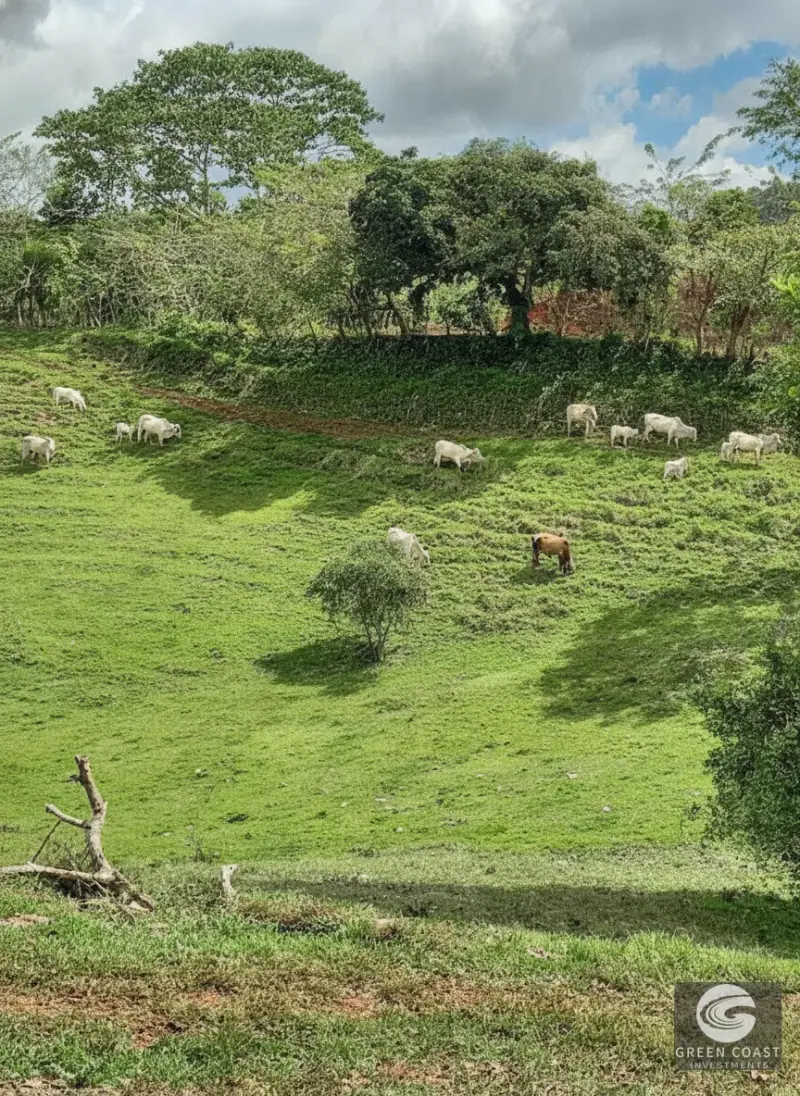 37-Hectare Eco-Farm in Carara with Rivers, Mountain Views, and 2-Bed Home — view 9, Carara, Turrubares, Costa Rica