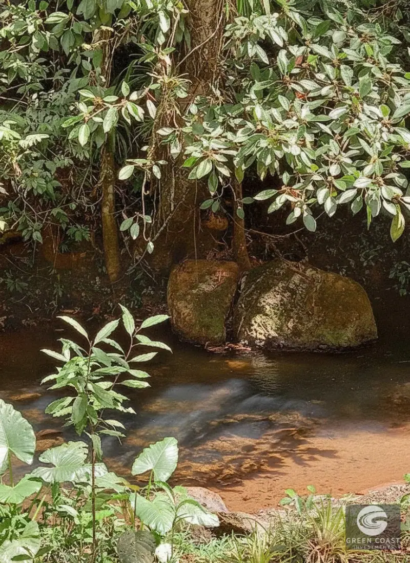 37-Hectare Eco-Farm in Carara with Rivers, Mountain Views, and 2-Bed Home — view 10, Carara, Turrubares, Costa Rica