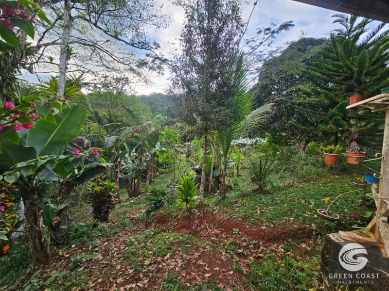 Eco-Investment Near Carara: Fixer-Upper House & Studio Apartment on Huge Lot — view 2, Jacó, Garabito, Costa Rica