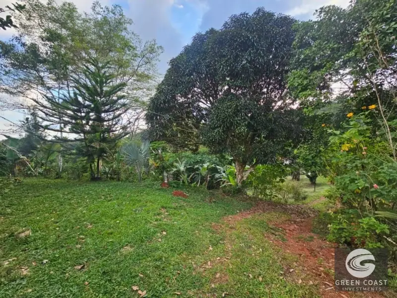 Eco-Investment Near Carara: Fixer-Upper House & Studio Apartment on Huge Lot — view 3, Jacó, Garabito, Costa Rica