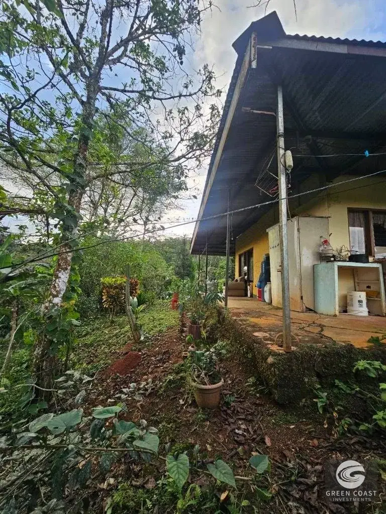 Eco-Investment Near Carara: Fixer-Upper House & Studio Apartment on Huge Lot — view 5, Jacó, Garabito, Costa Rica