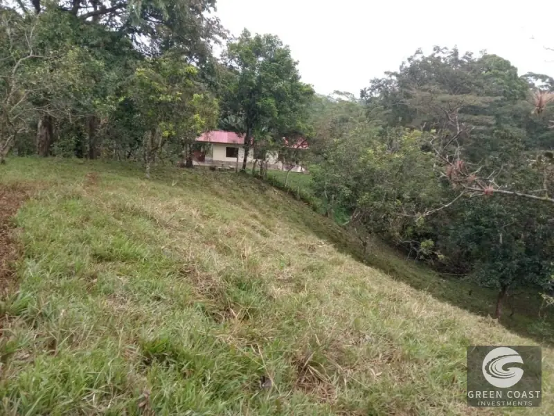 7.2-Hectare Turrubares Farm with Two Homes, Natural Springs, and Scenic Hills Near Carara — view 2, Carara, Turrubares, Costa Rica