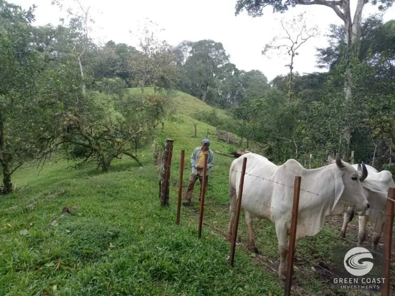 7.2-Hectare Turrubares Farm with Two Homes, Natural Springs, and Scenic Hills Near Carara — view 3, Carara, Turrubares, Costa Rica