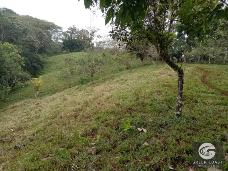 7.2-Hectare Turrubares Farm with Two Homes, Natural Springs, and Scenic Hills Near Carara — view 5, Carara, Turrubares, Costa Rica