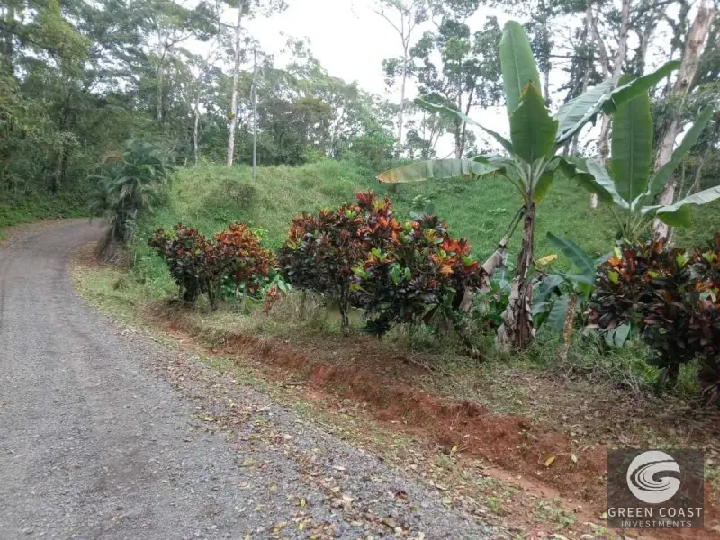 7.2-Hectare Turrubares Farm with Two Homes, Natural Springs, and Scenic Hills Near Carara — view 15, Carara, Turrubares, Costa Rica
