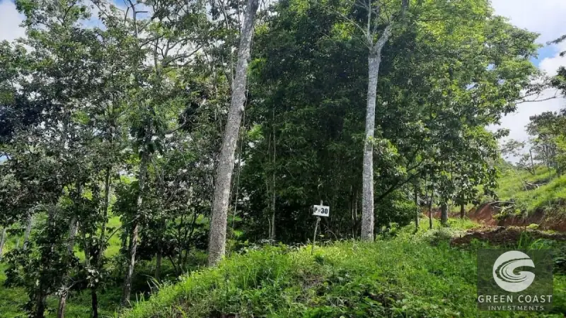 Eco-Luxury Half-Hectare Lot Near Waterfall in Hermosa Falls Estates — view 1, Jacó, Garabito, Costa Rica