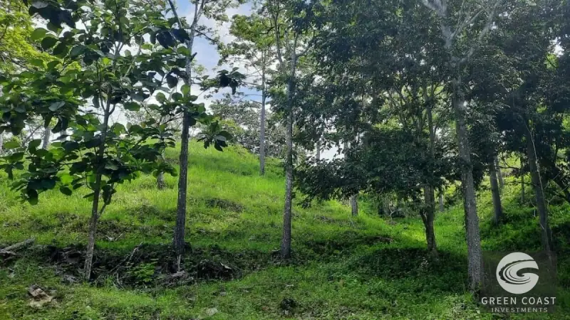 Eco-Luxury Half-Hectare Lot Near Waterfall in Hermosa Falls Estates — view 2, Jacó, Garabito, Costa Rica