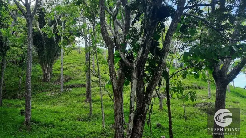 Eco-Luxury Half-Hectare Lot Near Waterfall in Hermosa Falls Estates — view 3, Jacó, Garabito, Costa Rica
