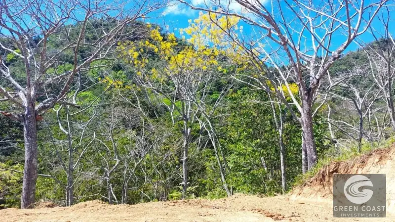 Eco-Luxury Half-Hectare Lot Near Waterfall in Hermosa Falls Estates — view 6, Jacó, Garabito, Costa Rica