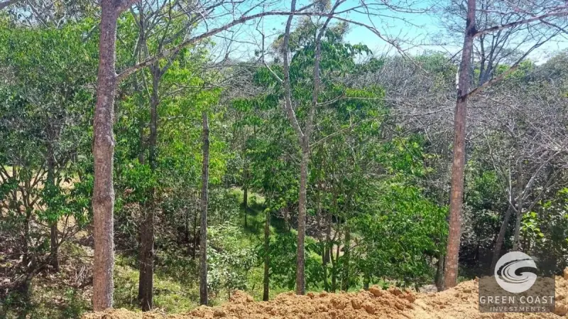 Eco-Luxury Half-Hectare Lot Near Waterfall in Hermosa Falls Estates — view 8, Jacó, Garabito, Costa Rica