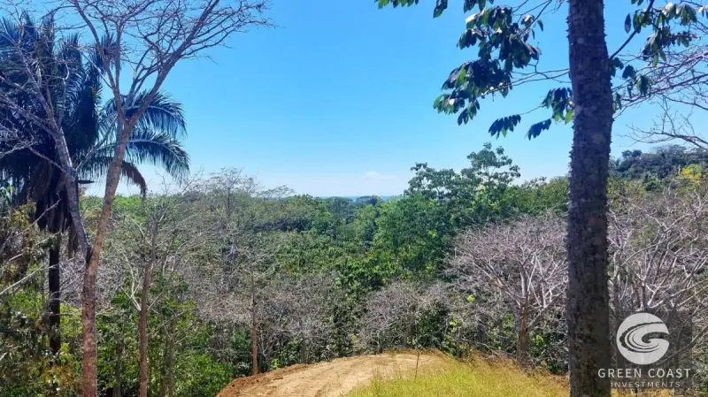 Eco-Luxury Half-Hectare Lot Near Waterfall in Hermosa Falls Estates — view 9, Jacó, Garabito, Costa Rica