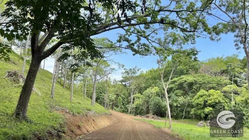Eco-Luxury Half-Hectare Lot Near Waterfall in Hermosa Falls Estates — view 11, Jacó, Garabito, Costa Rica
