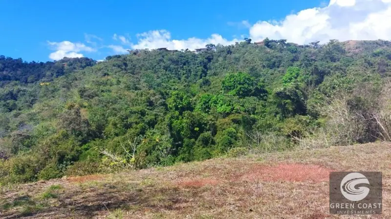 Ocean-View Eco-Lot in Hermosa Falls Estates | 1.25 Acres Near Jacó — view 6, Jacó, Garabito, Costa Rica