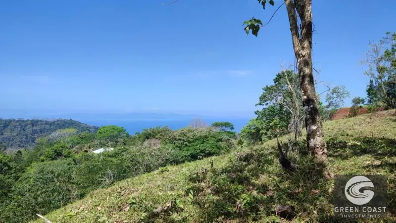 1.3-Hectare Ocean-View Development Land Near Carara National Park — view 3, Tárcoles, Garabito, Costa Rica
