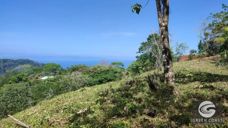 1.3-Hectare Ocean-View Development Land Near Carara National Park — view 5, Tárcoles, Garabito, Costa Rica