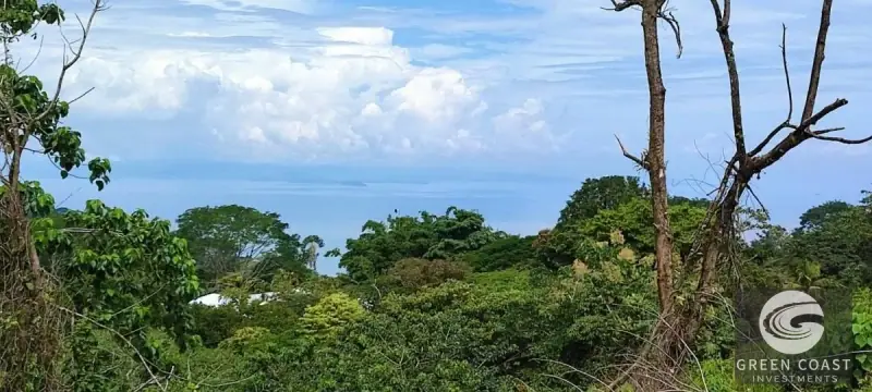1.3-Hectare Ocean-View Development Land Near Carara National Park — view 11, Tárcoles, Garabito, Costa Rica