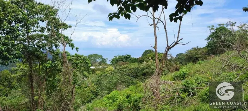 1.3-Hectare Ocean-View Development Land Near Carara National Park — view 14, Tárcoles, Garabito, Costa Rica