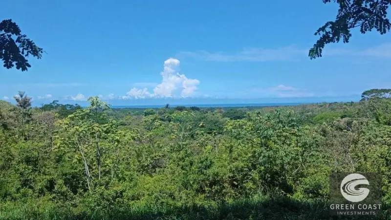 1.6-Hectare Ocean & River View Eco-Estate in Gated Garabito Community — view 1, Lagunillas, Garabito, Costa Rica
