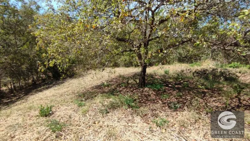 1.6-Hectare Ocean & River View Eco-Estate in Gated Garabito Community — view 9, Lagunillas, Garabito, Costa Rica